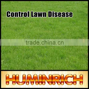FAQ 15--How To Control Lawn Disease? thumbnail-1