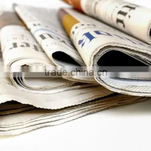 News Paper Lay Out thumbnail-1