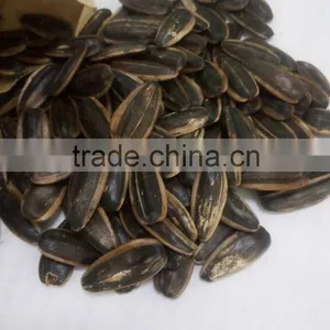 Chinese Caramel Flavor Suger Roasted Sunflower Seed thumbnail-2