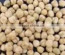Chick Pea of Ukranian Quality thumbnail-1