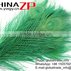Leading Supplier CHINAZP Wholesale Cheap Full Eye Dyed Green Peacock Tail Feathers thumbnail-3