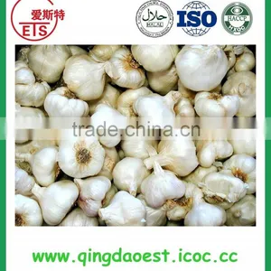 NEW CROP Garlic Price From Jinxiang thumbnail-5