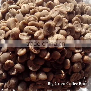 Arabica Green Coffee Beans thumbnail-1