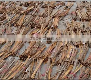 Best Cassia(cinnamon) Split thumbnail-1