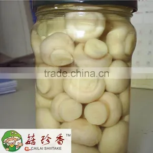 Canned Champignon Mushroom of Factory Price thumbnail-4
