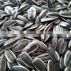 2015 CROP Inner Mongolia Sunflower Seeds 5009 thumbnail-2