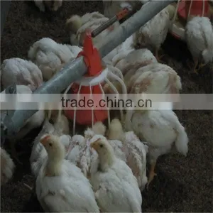 Automatic Poultry Equipment for 40'x450' Broiler Houses thumbnail-4