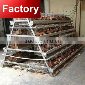Factory New U Type Steel Frame 3 Tier Chicken Cage for Factorynzania Uganda Poultry Farm thumbnail-1