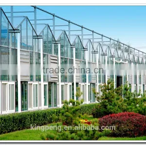 Professional Float/tempered Agricultural Galss Greenhouse (ISO9001:2000) thumbnail-3