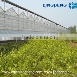 Polycarbonate Sheet Farming Greenhouse thumbnail-1