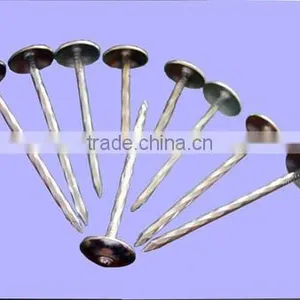 New Product Roofing Nail Made in China thumbnail-3
