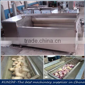 Most Popular Carrot/potato/onion Peeling and Washing Machine thumbnail-1