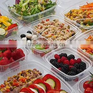 Disposable Blister Plastic Takeaway Takeout Hot Food Delivery Containers thumbnail-3