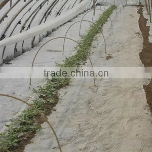 Anti-drip Long Life Transparent Co Extruded PE Cover Film PE Mulch Film for Watermelon Greenhouse thumbnail-1