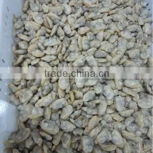 COOKED AND IQF FROZEN YELLOW CLAM MEAT thumbnail-2