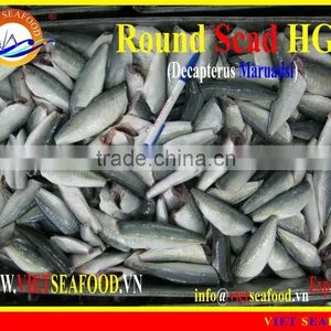FROZEN HGT ROUND SCAD thumbnail-1