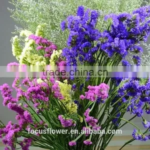 Natural Statice Fuchsia Flowers For Holiday Gifts thumbnail-3