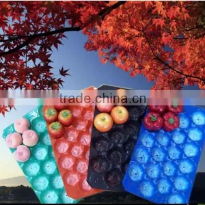 Popular Wholesale Netherlands 39X59cm Black Blue PP Apple Packaging Tray Manufacturer thumbnail-1