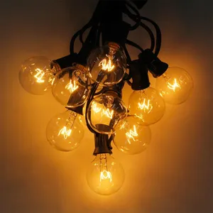 25Ft G40 Globe String Light 110/220V With 25 Clear Bulbs Waterproof Indoor/Outdoor Garden,Party,Wedding Holiday Light thumbnail-4