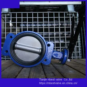 DN100 Marine Wafer Butterfly Valve With NPT Thread thumbnail-3