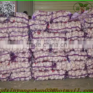 (HOT) Chinese Normal White Garlic thumbnail-3