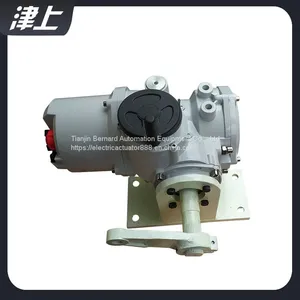 Base Type Electric Actuator IT30 Angular Stroke Electric Actuator thumbnail-3