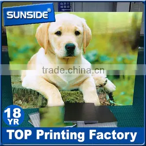 1mm 3mm 5mm Die Cut PVC Sintra Sheet, PVC Foam Board,cardboard Pringting thumbnail-1