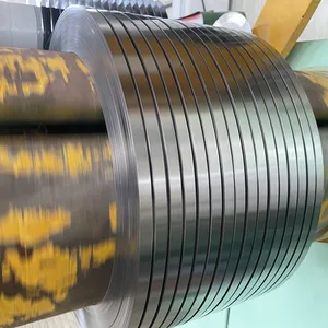EN 1.4113 DIN X6CrMo17-1 Stainless Cold Rolled Steel Strip thumbnail-1