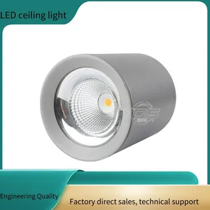 Led Outdoor Waterproof Surface-mounted Ceiling Light, Wall-mounted Surface-mounted Ceiling Light, Cob Single Color thumbnail-1