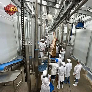 Turnkey Solution Cow Slaughterhouse Beef Slaughtering Processing Line Machinery Cattle Slaughter Equipment thumbnail-1