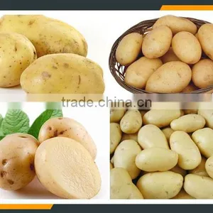 Twist Potato Slicer Machine With CE& ISO thumbnail-1