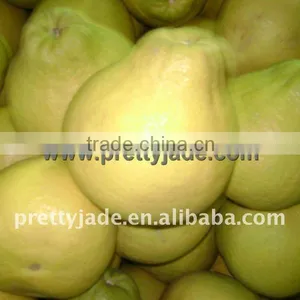 High Quality Chinese Fresh Honey Pomelo thumbnail-1