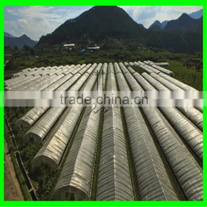 Elastic Insect Mesh Anti Bird Net for Organic Net Crop Veg Protection thumbnail-3