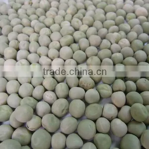 Green Peas Dried US Origin thumbnail-1