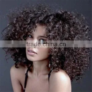 Afro Kinky Curly Full Lace Wig for Black Women thumbnail-1