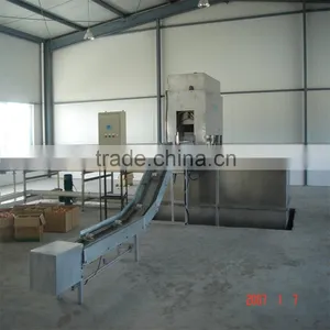 Kiwi Sorter Machine thumbnail-4