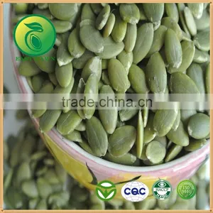 Pumpkin Seed Powder Oil Press Machine thumbnail-1