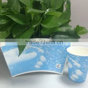 Food Grade Disposable Paper Cup Sheet With High Quality thumbnail-1