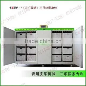 Professional Production of Bean Sprout Machinery Factory thumbnail-3