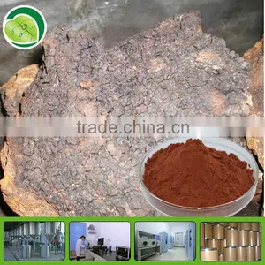 Healthcare Products Chaga Mushroom Extract thumbnail-1