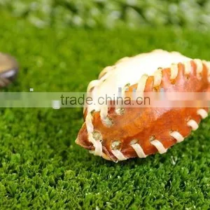 Dog Chew:rugby thumbnail-1