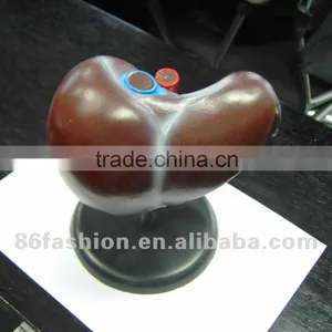 Plastic Medical Model thumbnail-1