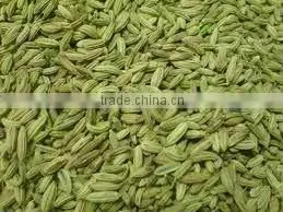 Fennel Seeds thumbnail-1