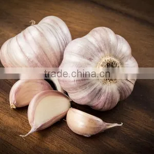 Peeled Garlic CCD Belt Color Sorter Machine thumbnail-3