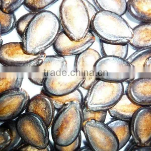 Black Water Melon Seed New Crop Dried thumbnail-1