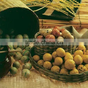 Wasabi Peas thumbnail-1