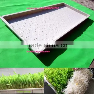 Standard Full Size Plastic Seed Starting Trays thumbnail-1