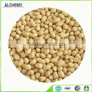 2016 New Crop Blanched Peanut thumbnail-1