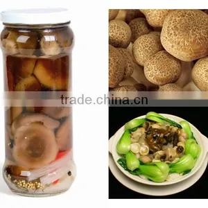 Canned Shiitake Mushroom Shiitake in Tin Price for Shiitake thumbnail-2