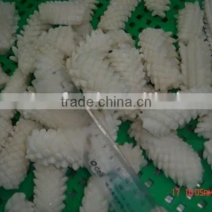 Frozen Squid Flower 3-7CM thumbnail-1